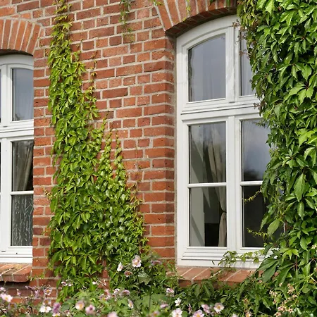 Starenhof *